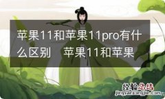 苹果11和苹果11pro有什么区别苹果11和苹果11pro具体都有些什么区别