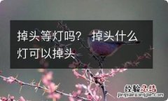 掉头等灯吗？ 掉头什么灯可以掉头