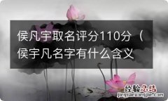 侯宇凡名字有什么含义吗? 侯凡宇取名评分110分