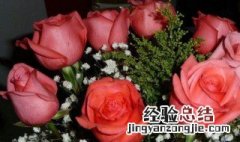 19朵玫瑰花代表什么意思 19朵玫瑰花的寓意