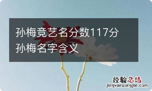 孙梅竞艺名分数117分 孙梅名字含义