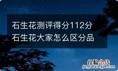 石生花测评得分112分 石生花大家怎么区分品种