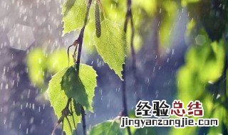 中国南方梅雨季节指的是哪几个月 中国南方梅雨季节指的是每年的六七月份