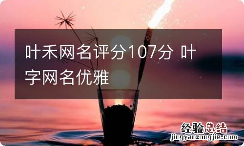 叶禾网名评分107分 叶字网名优雅