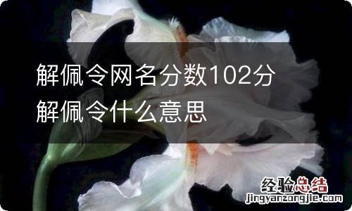 解佩令网名分数102分 解佩令什么意思