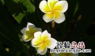 小暑节气的特征是什么 小暑节气有何特征