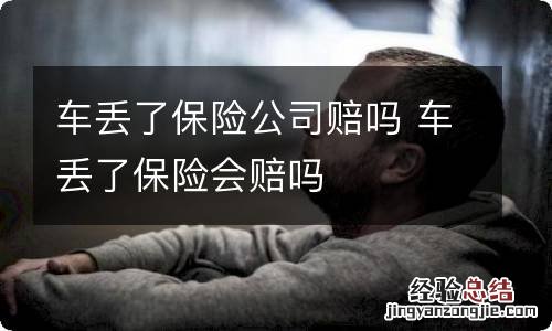 车丢了保险公司赔吗 车丢了保险会赔吗