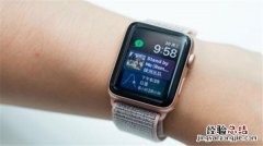 Apple Watch可检测心律异常吗