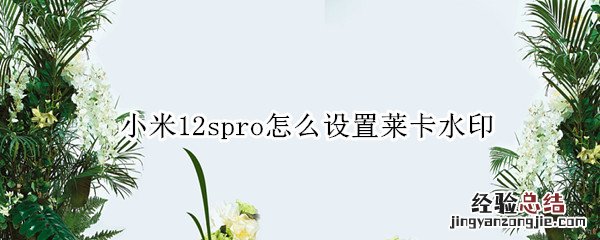 小米12spro怎么设置莱卡水印 小米12拍照