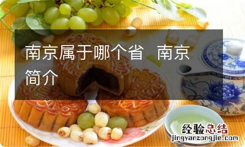 南京属于哪个省南京简介