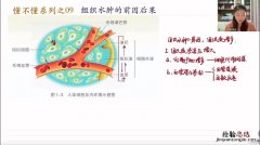 高中生物大分子有哪些