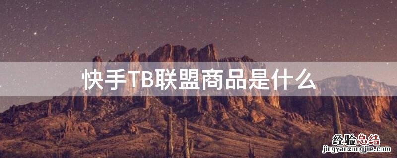 快手TB联盟商品是什么