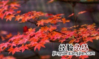最好的个性签名 最好的个性签名女