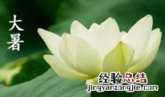 24节气大暑是什么意思 大暑简单介绍