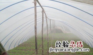 大棚膜除水滴技巧 大棚膜除水滴的一般技巧