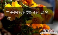 牛哥网名分数99分 网名 牛