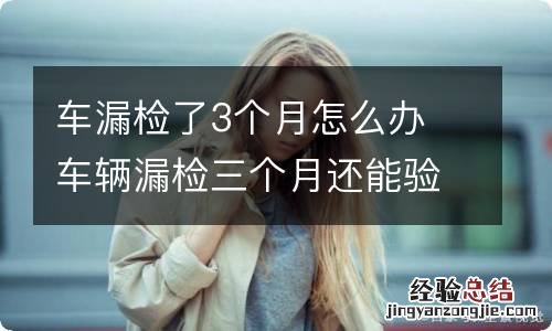 车漏检了3个月怎么办 车辆漏检三个月还能验车吗