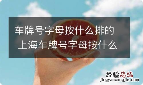 车牌号字母按什么排的 上海车牌号字母按什么排的