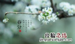 春分节气介绍讲解 春分节气的经典习俗有哪些