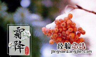 24节气霜降应该吃什么 霜降应该吃的食物