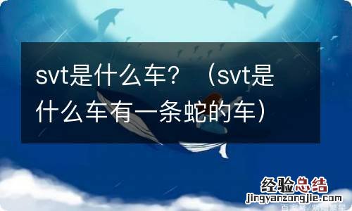 svt是什么车有一条蛇的车 svt是什么车？