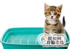 猫不在猫砂里拉屎怎么办