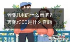 奔驰R用的什么音响？ 奔驰r300是什么音响