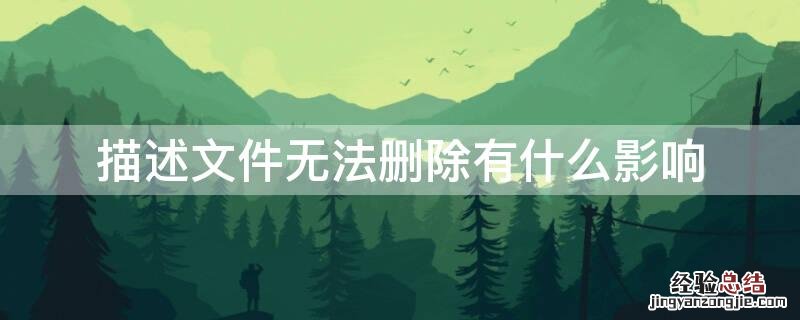 描述文件无法删除有什么影响