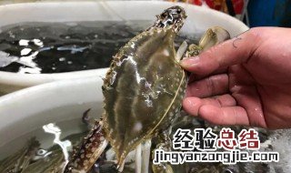 如何清洗梭子蟹 怎么清洗梭子蟹