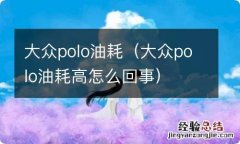 大众polo油耗高怎么回事 大众polo油耗