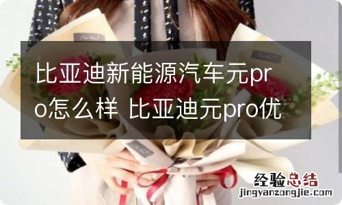 比亚迪新能源汽车元pro怎么样 比亚迪元pro优缺点