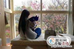 怎么跟猫培养感情