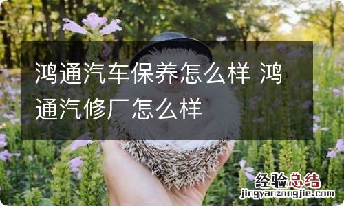 鸿通汽车保养怎么样 鸿通汽修厂怎么样