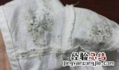 衣服发霉了如何清洗干净图片 衣服发霉了如何清洗干净