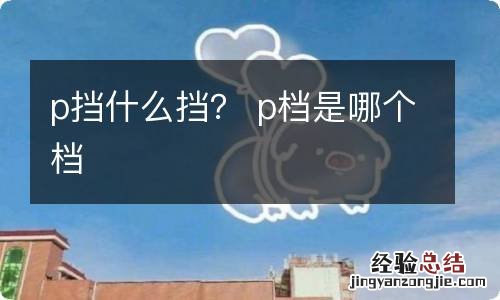 p挡什么挡？ p档是哪个档