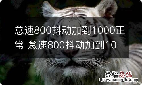 怠速800抖动加到1000正常 怠速800抖动加到1000正常佳美