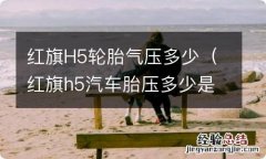 红旗h5汽车胎压多少是正常值范围 红旗H5轮胎气压多少