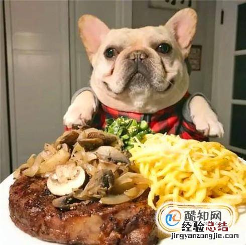 法斗犬挑食怎么办