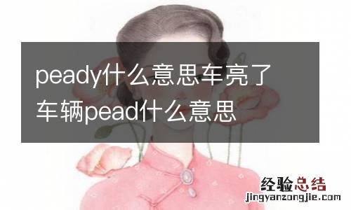 peady什么意思车亮了 车辆pead什么意思