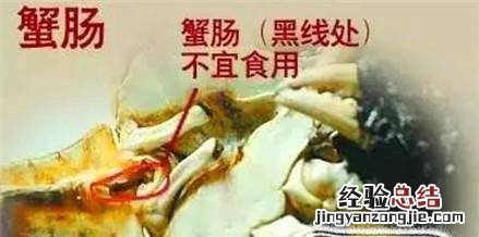 螃蟹哪部分能吃哪部分不能吃及其主要事项