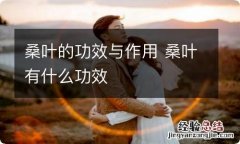 桑叶的功效与作用 桑叶有什么功效