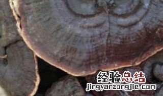 灵芝怎么存放 储存灵芝的步骤