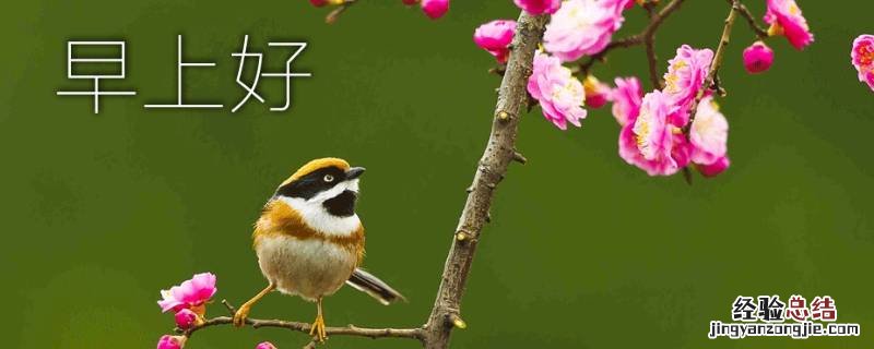 如何高情商？回复早上好