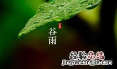 谷雨有什么常见的习俗 谷雨有什么风俗活动