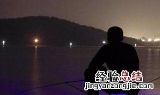 秋天夜钓鲢鳙妙招有哪些 秋天夜钓鲢鳙妙招