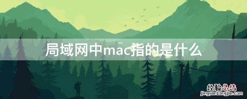 局域网中mac指的是什么