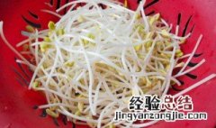 没冰箱豆芽怎么保存 可以这样保存