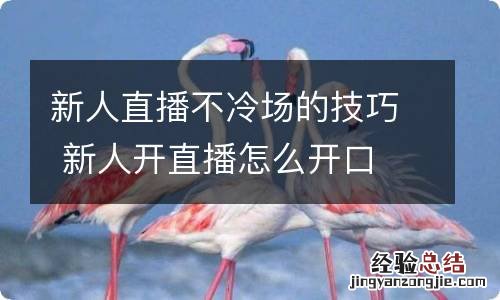 新人直播不冷场的技巧 新人开直播怎么开口