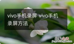 vivo手机录屏 vivo手机录屏方法