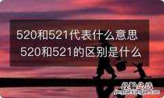 520和521代表什么意思 520和521的区别是什么